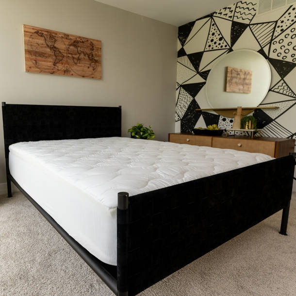 Strobel Technologies Winners American Pharoah No Cover Top Only 6" Semi